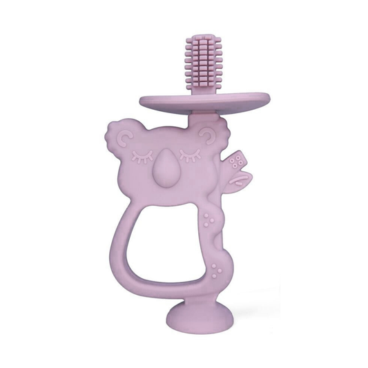 Mordedor Koala